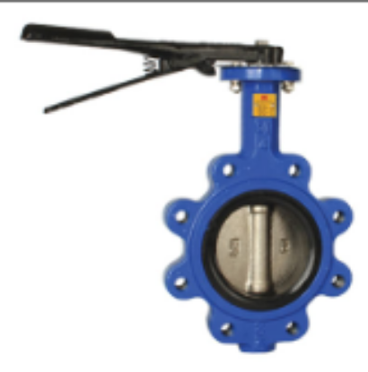 Picture of 10 IN LUG TYPE BUTTERFLY VALVE