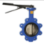 Picture of 10 IN LUG TYPE BUTTERFLY VALVE