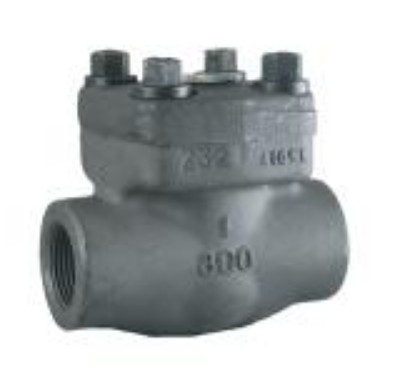 Picture of 1/4 800# FS SWING CHECK VALVE